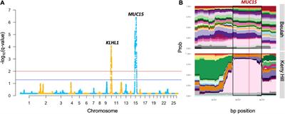 Genotyping and Whole-Genome Resequencing of Welsh Sheep Breeds Reveal Candidate Genes and Variants for Adaptation to Local Environment and Socioeconomic Traits